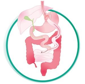 Bypass Gastrico Dr Santiago Gómez