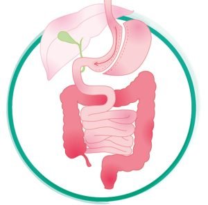 Gastric Sleeve Colombia